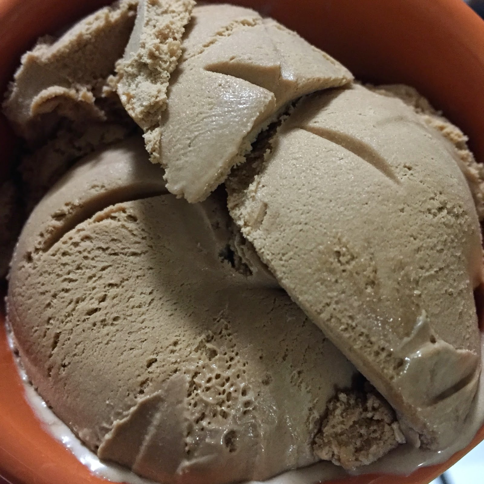 Edy's Chocolate Malt FROZEN CUSTARD