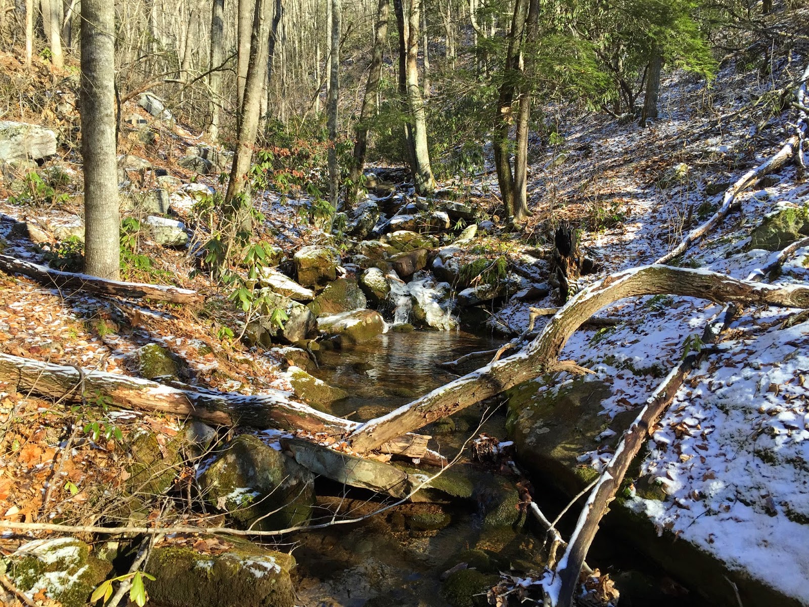 Wandering Virginia Rich Hole Wilderness, West of Lexington