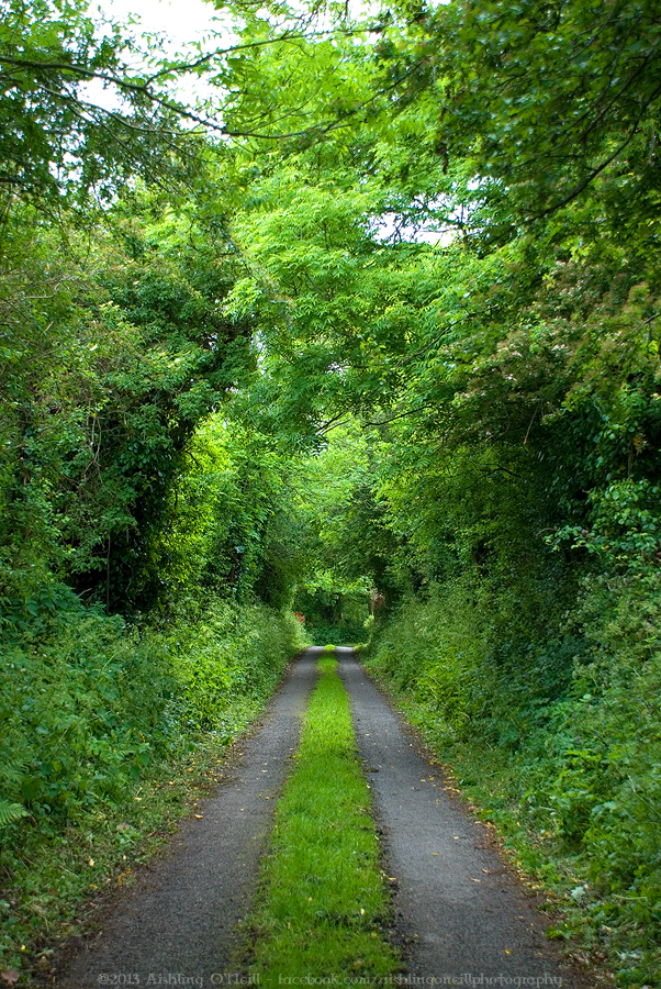 Aishling O'Neill Photography Legan, Co. Longford, Ireland 2011