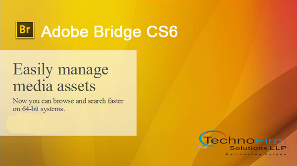 Update Adobe Bridge Cs6
