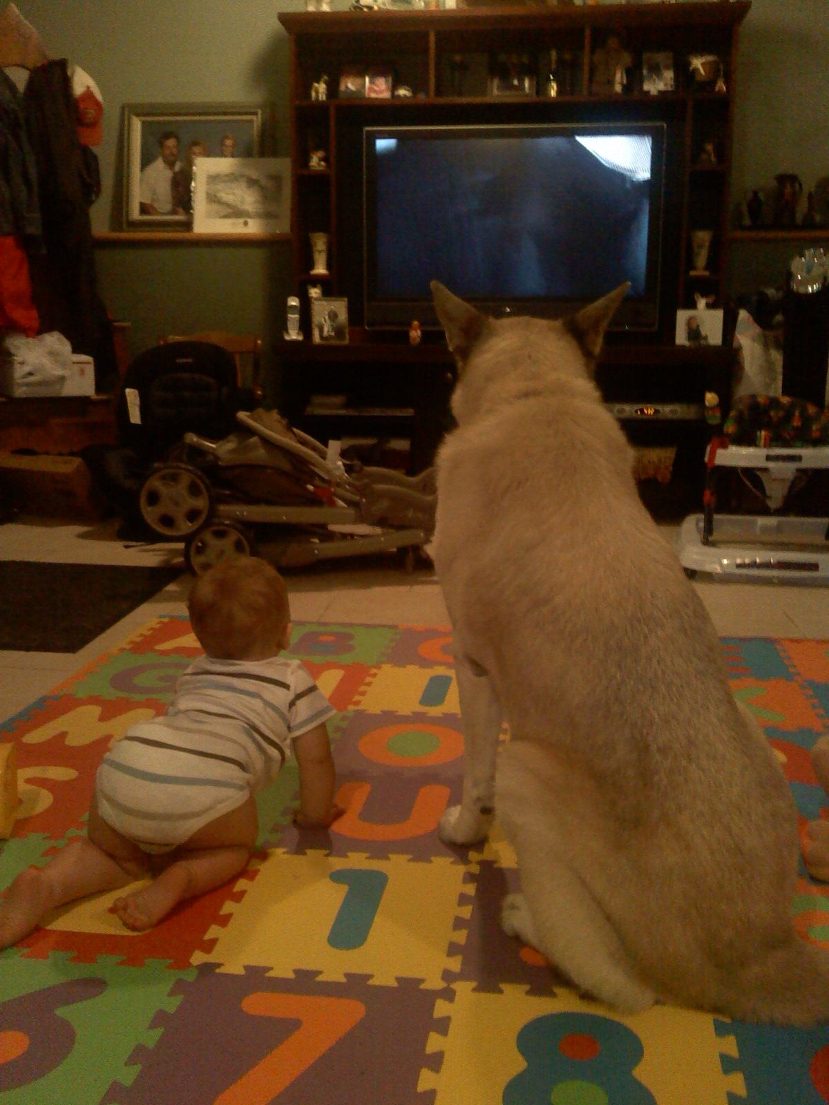 Happy Birthday, Sweet Girl! - The Momma Diaries