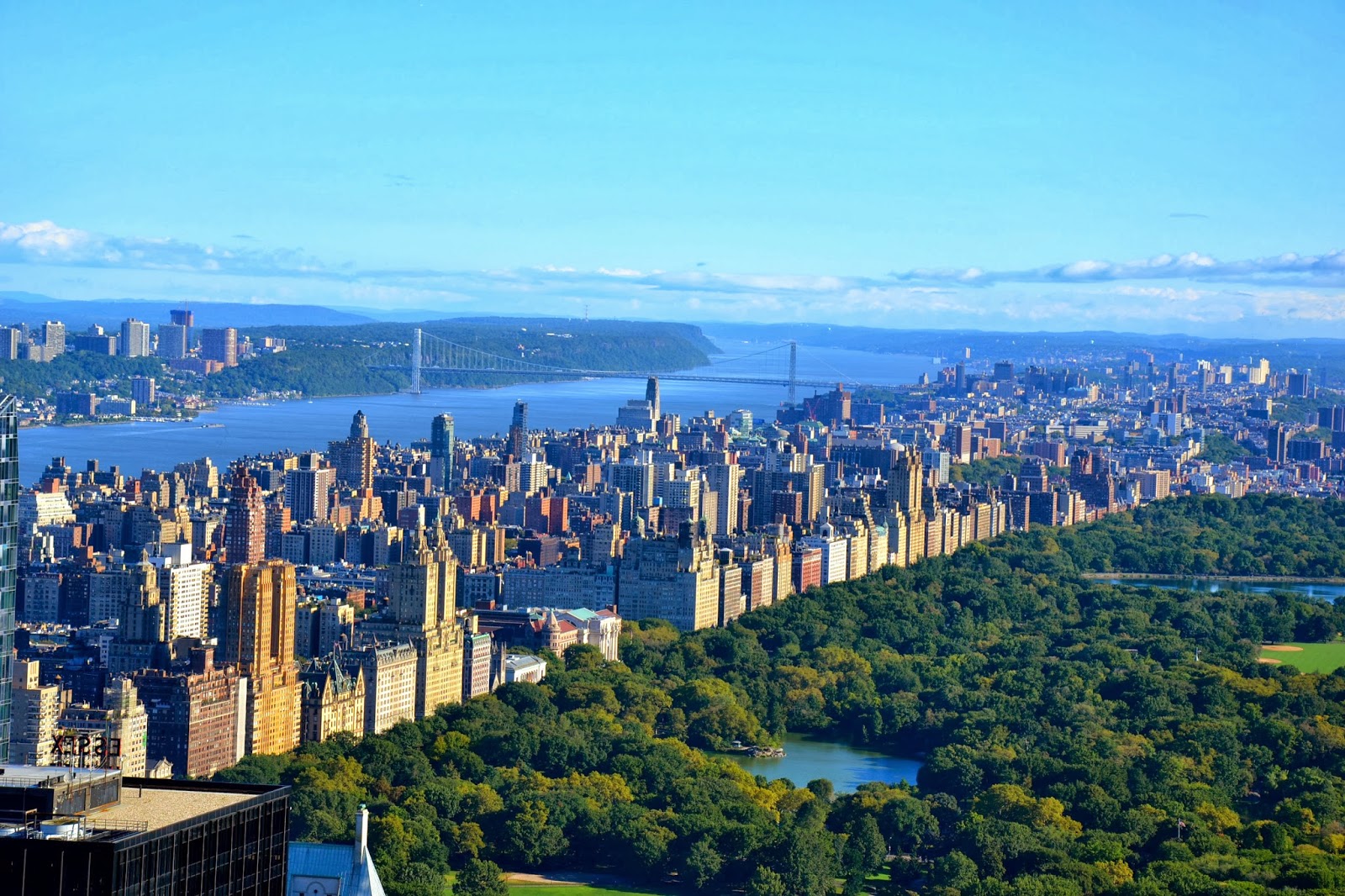 [Image: DSC_0115.JPG]