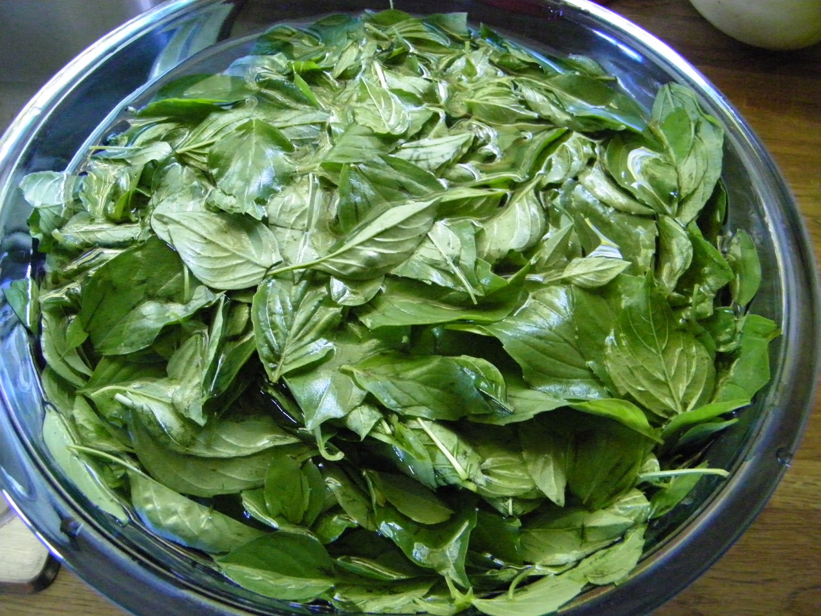 Eclectic Momma Freezing Basil