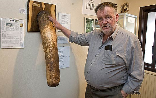 dinosaur penis size Nude sceens of nicole eggert