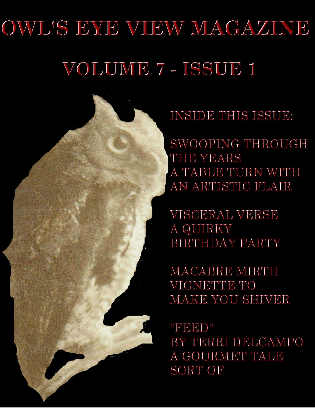 OWL'S EYE VIEW MAGAZINE 2016 Issue 1
