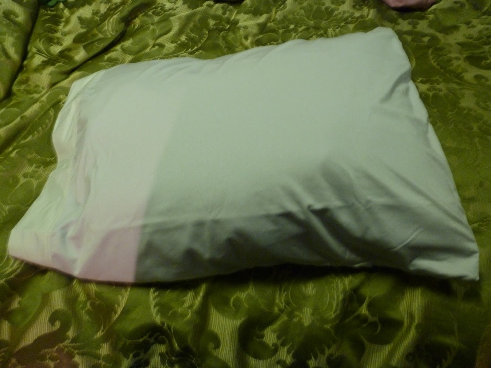 At the Fence: Youth Perfect Spa Pillow Case