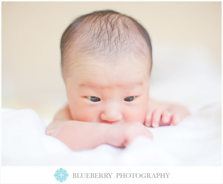 San Francisco Bay Area Newborn Baby Photography Session