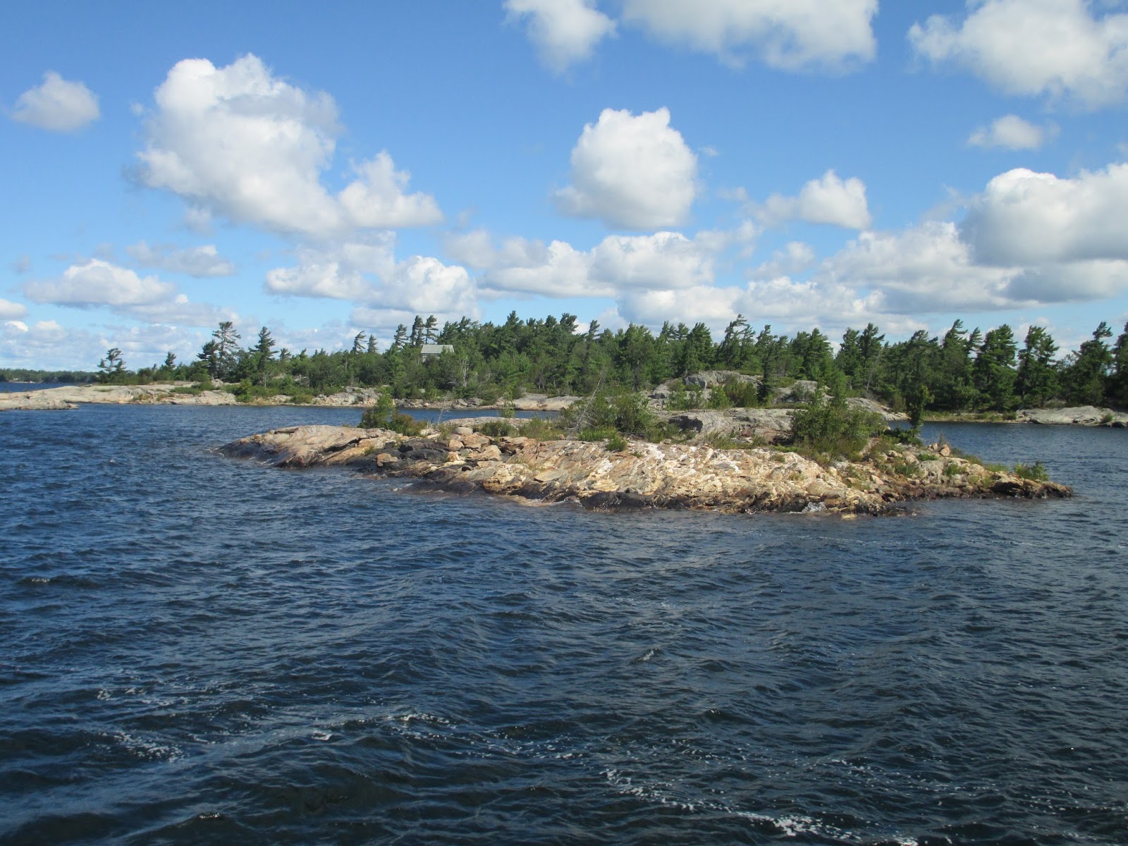 морской бой торрент скачать игра