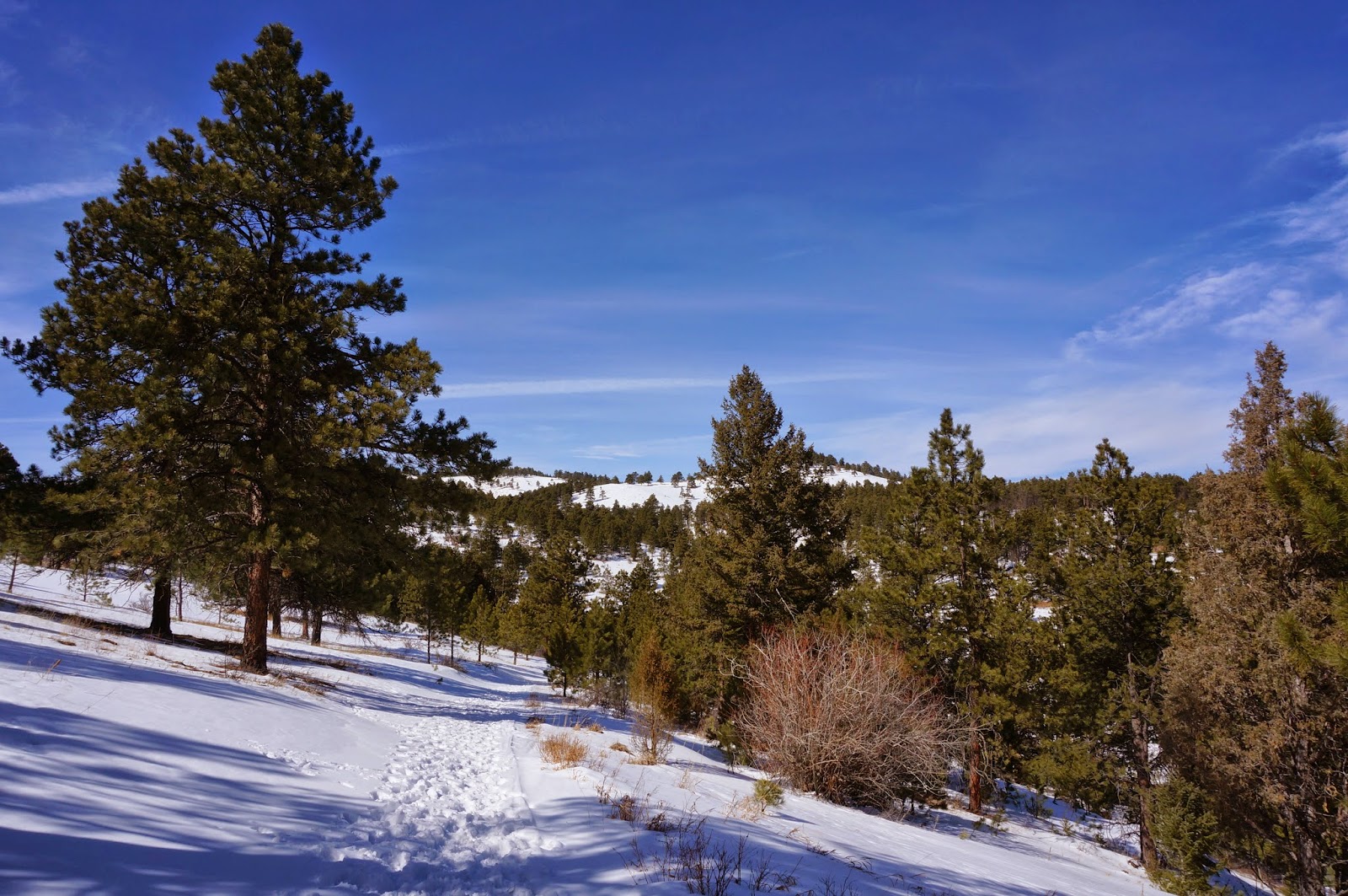 Go Hike Colorado Rawhide Loop, White Ranch Park