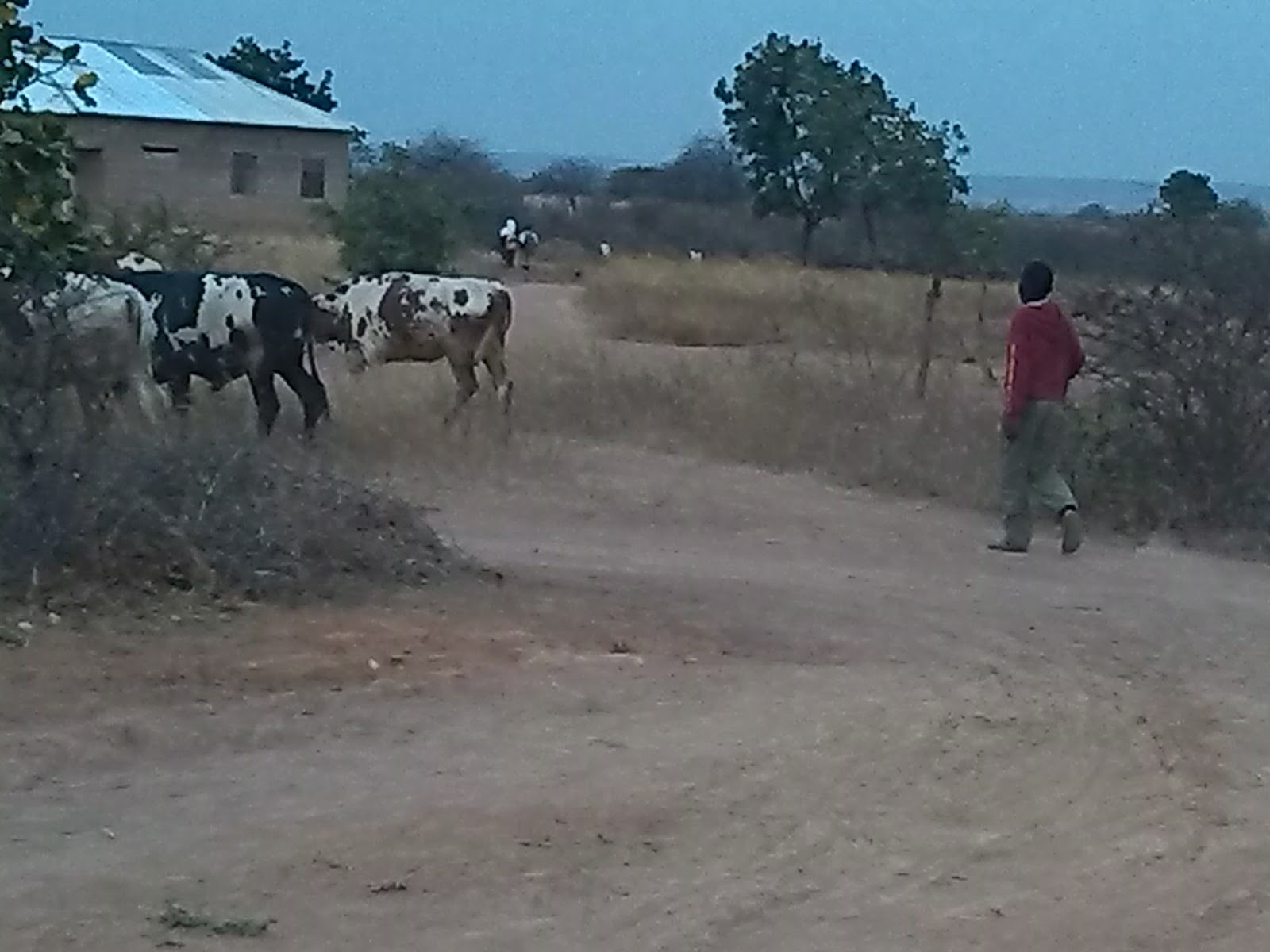 Business plan ya ufugaji wa samaki 06 picture