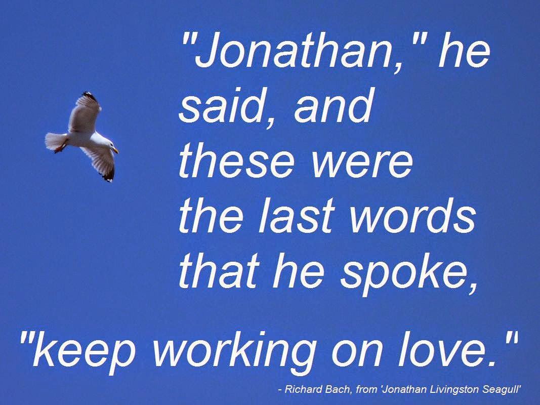 Love Jonathan Livingston Seagull Quotes. QuotesGram