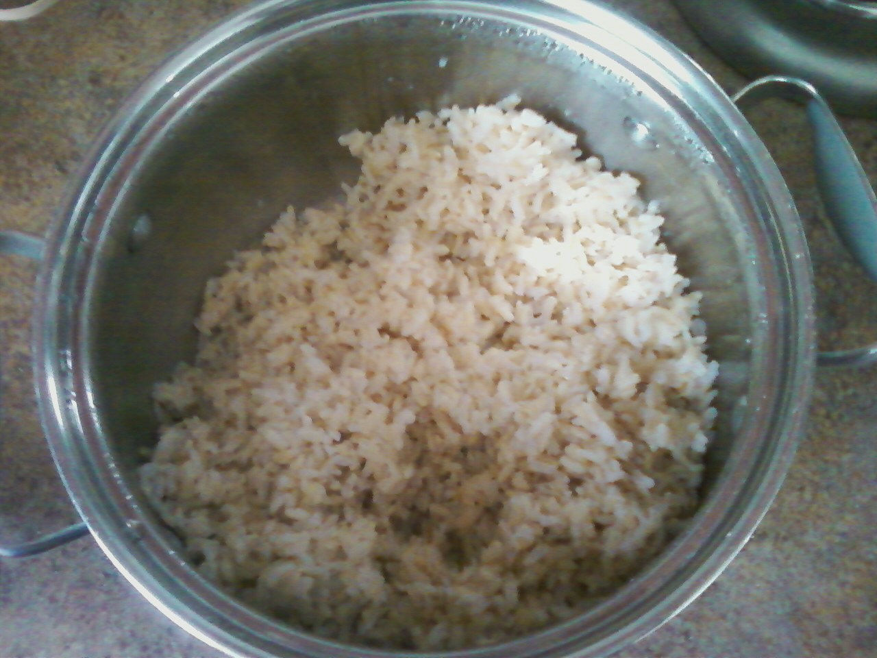 Vegan Cooking in Colorado Cleanoutyourfridge fried rice