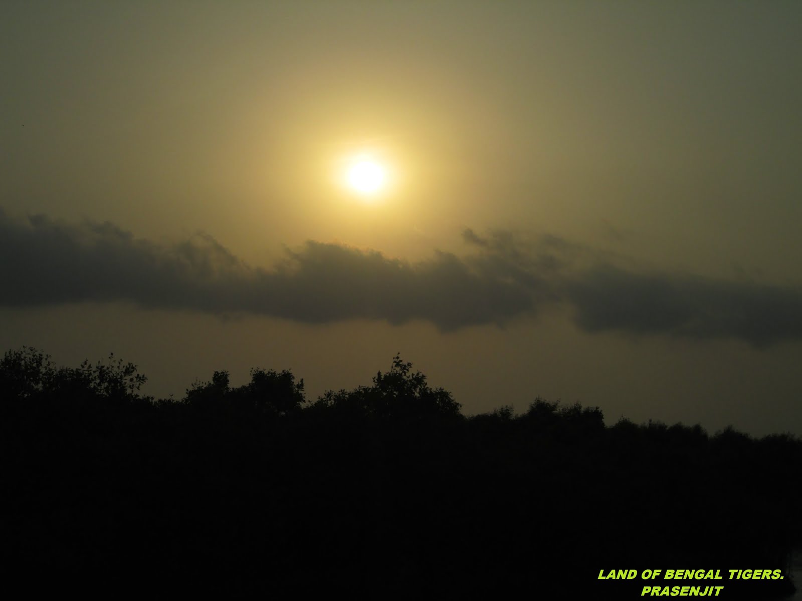 Sun viewed from Sunderban,Pakhiralay