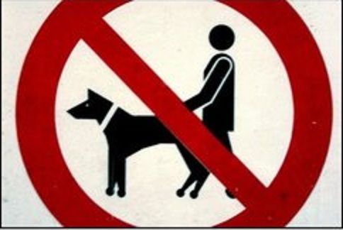 sodomiser par mon chien