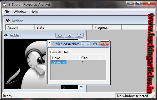 hide text in image