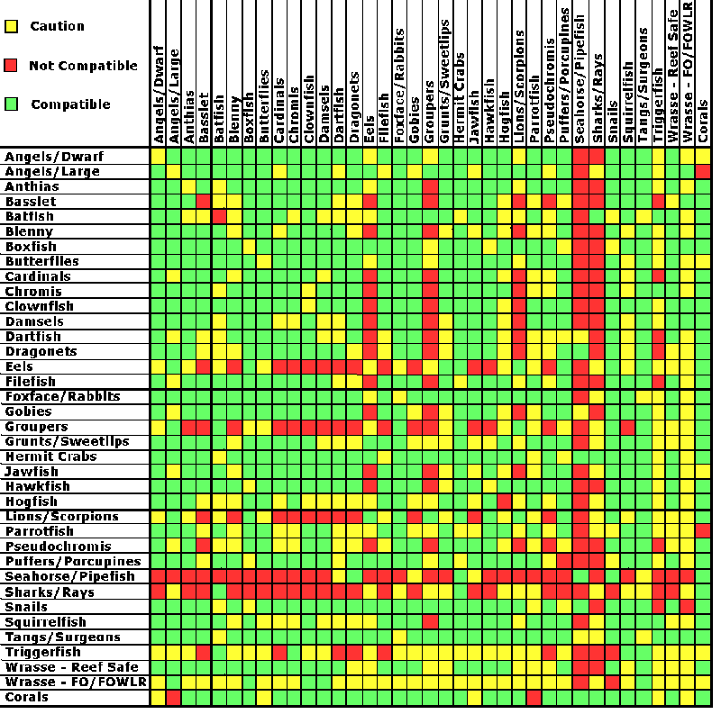 Parrot Cichlid Compatibility Chart