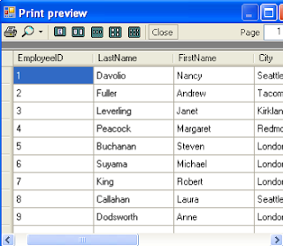 Printpreviewdialog in winforms windows forms datagridview C# vb.Net