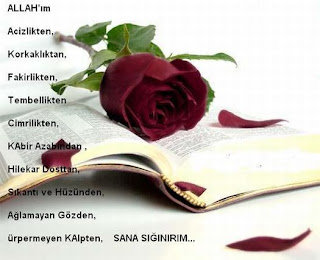 Sana-siginirim-ALLAH-im.jpg