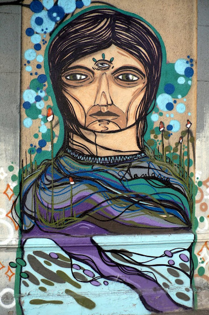 street art in santiago de chile barrio bellavista arte callejero by santana
