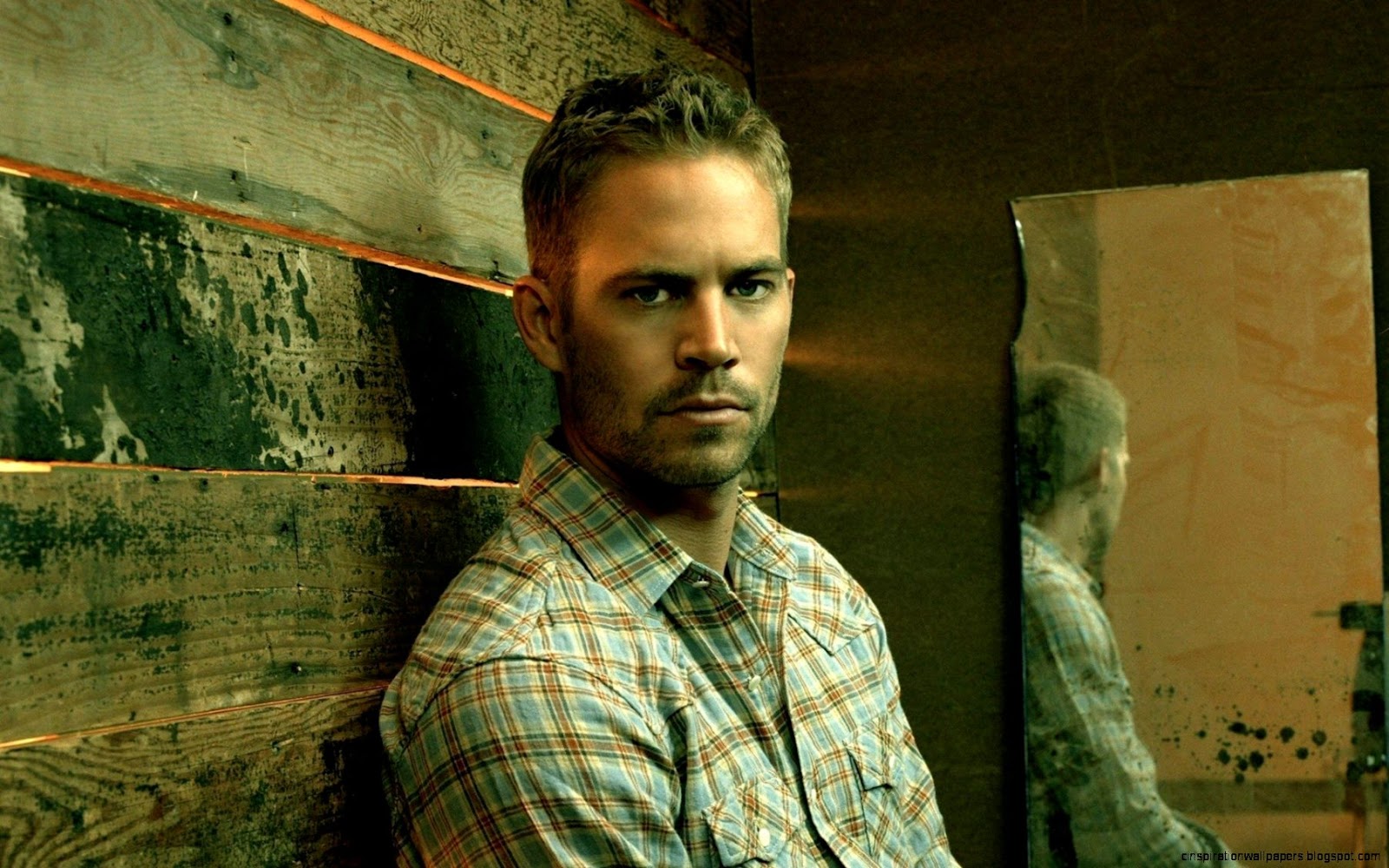 Actor Paul Walker Actor Paul Walker