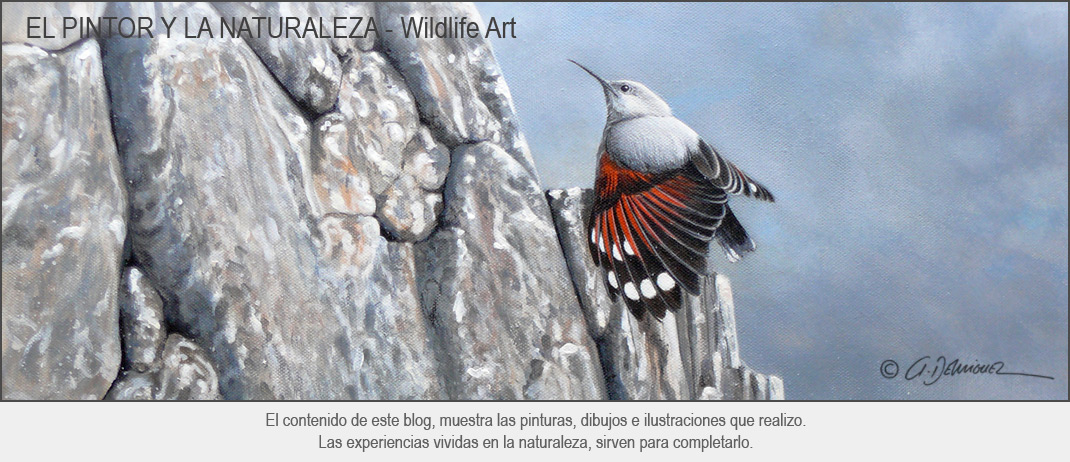 Arturo de Miguel - Wildlife Art
