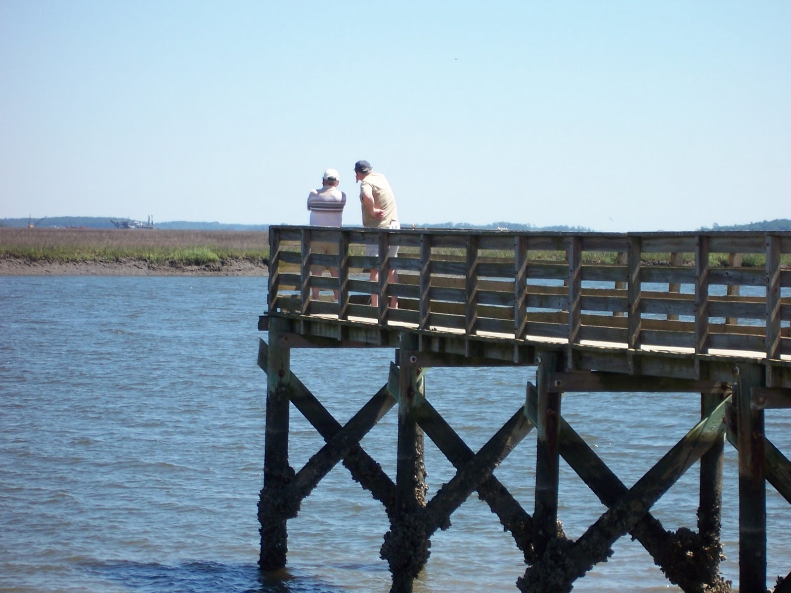 Edisto, A Sea Island History At This Spot The Comings and Goings at