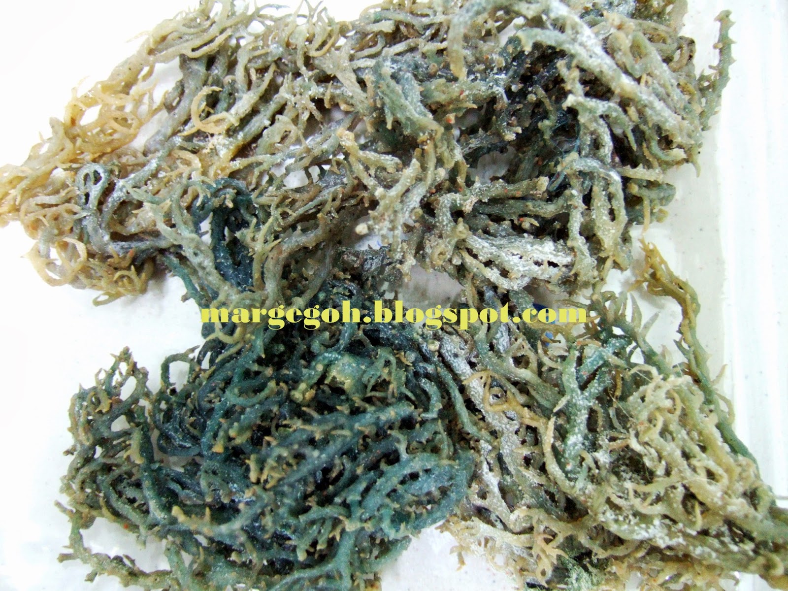 20 Health Benefits of Eucheuma Seaweed