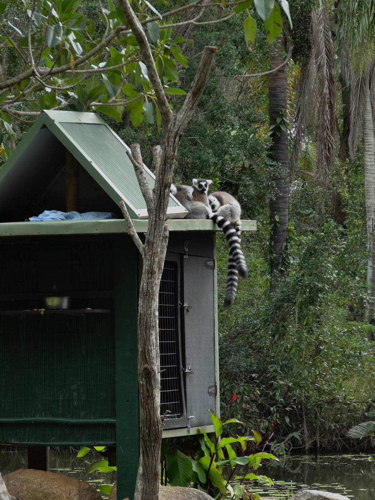 Stu the Zoo Alma Park Zoo Review