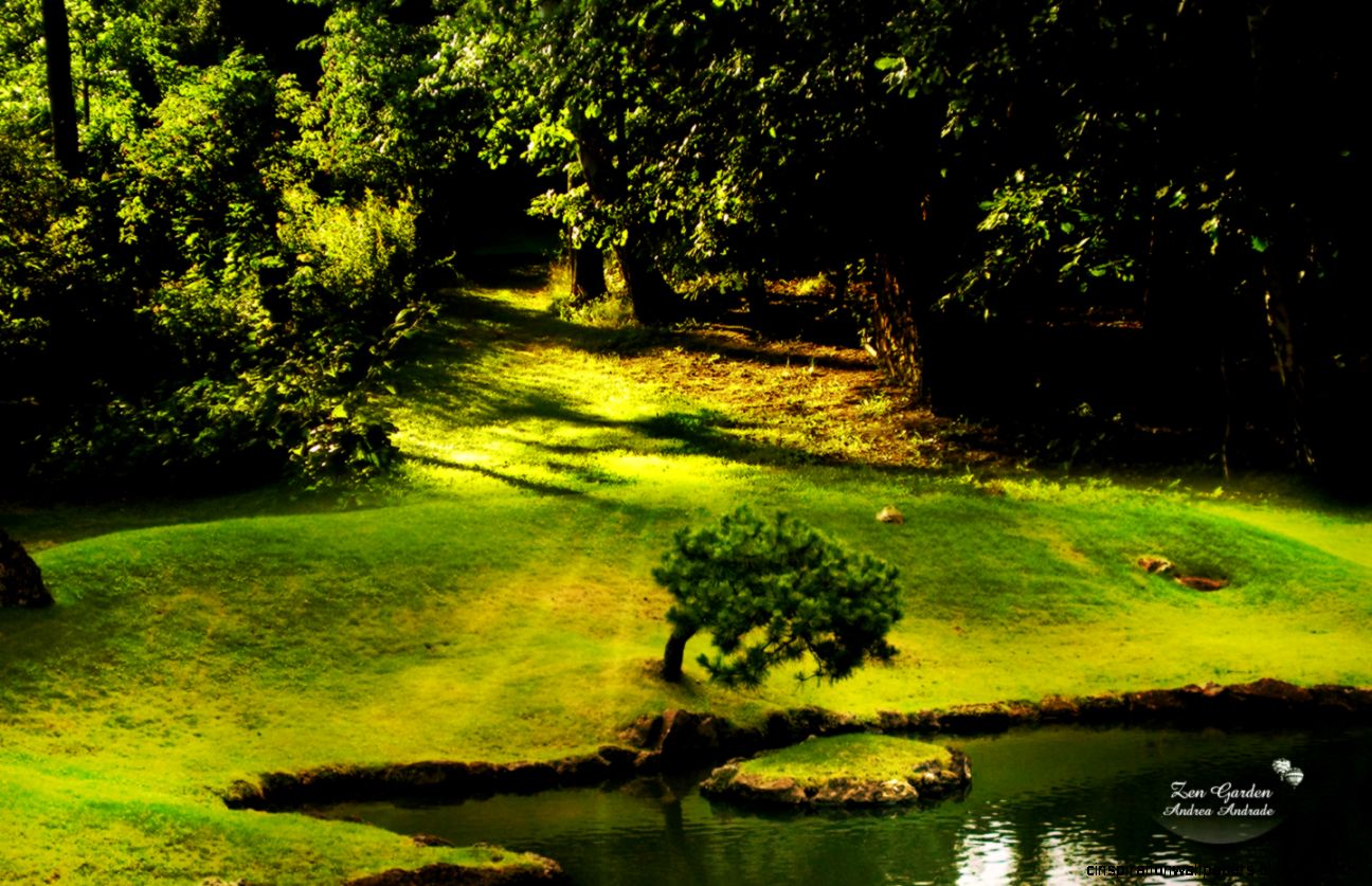 Wallpaper Nature Beauty Green Hd Cool 7 HD Wallpapers Wallpaper Nature Beauty Green Hd Cool 7 HD Wallpapers