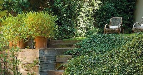 Flower steps pots spello outdoor patio planters decorate flowers decorated ways potted alleyway inspirational pot floral plants wonderful garden italy Pics Actually: Lovely
