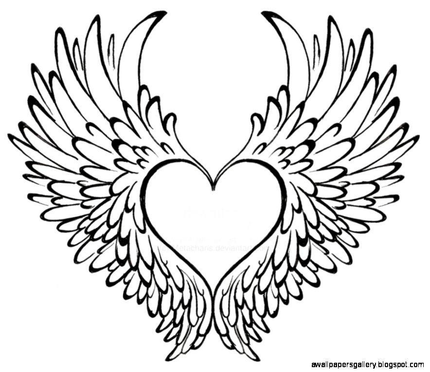 Drawing Heart Of With bird Wings Tattoo Bing Images Body Art Drawing Heart Of With bird Wings Tattoo Bing Images Body Art