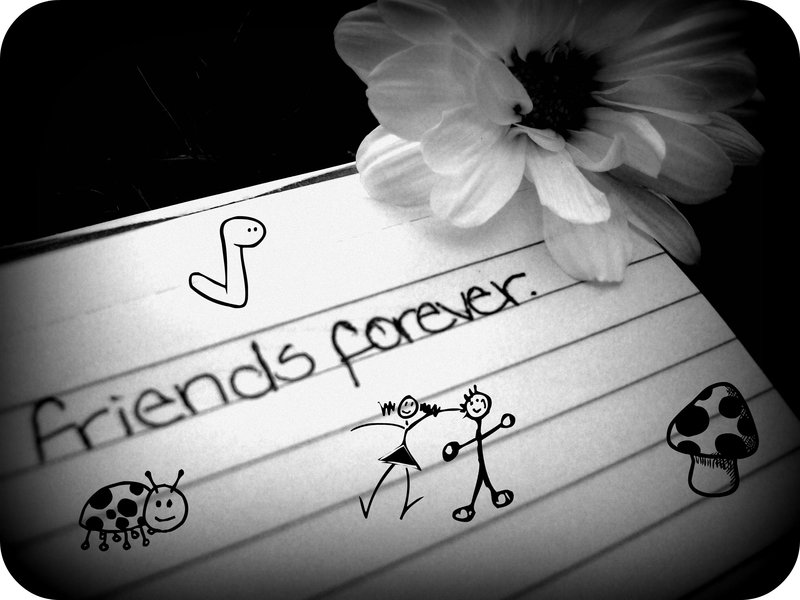 Friends Forever Tumblr