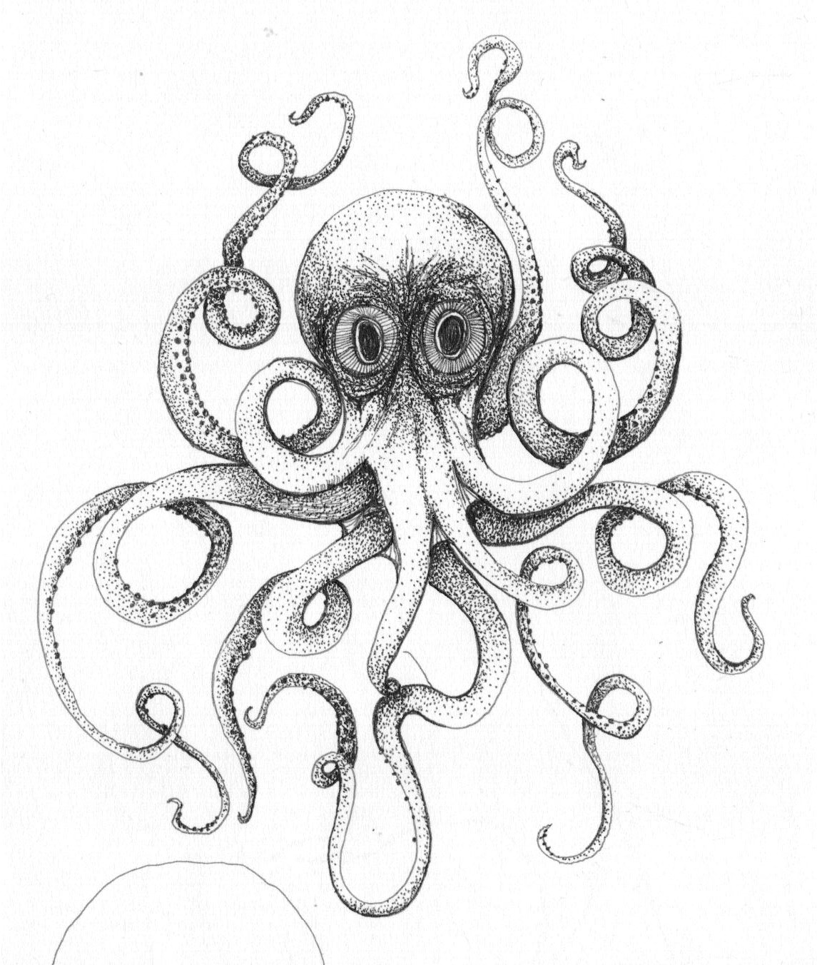 Drawings Of Octopuses