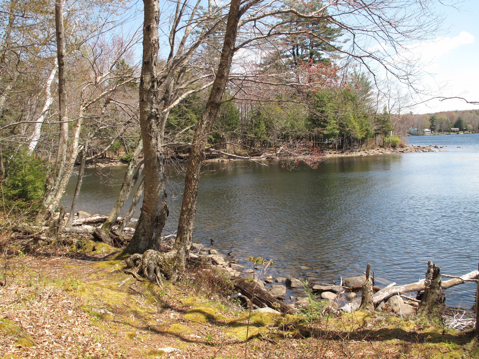Nooks and Vales Spring Comes to Dyken Pond