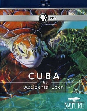 CUBA-HD