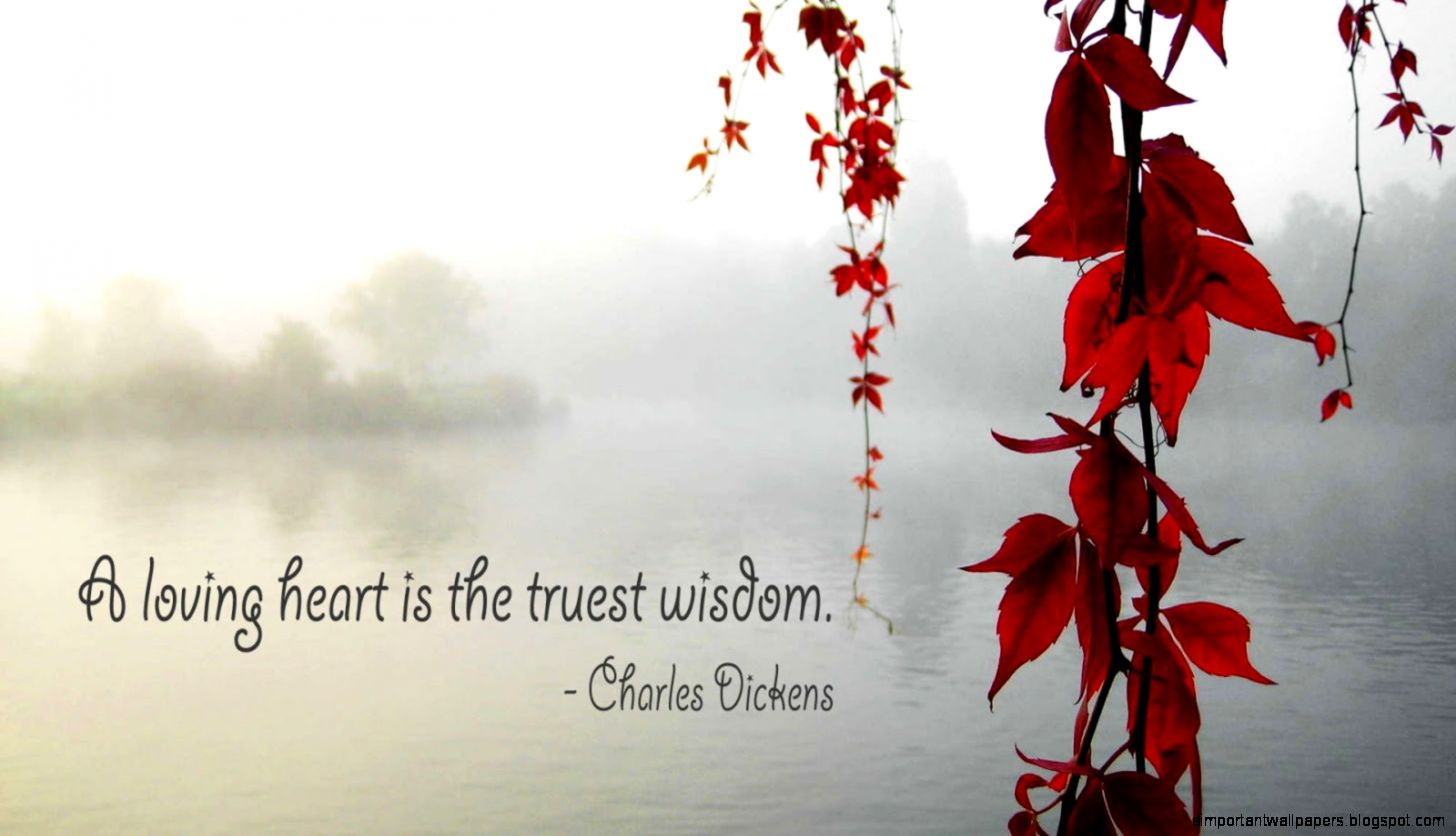 Famous Love Quote HD Desktop Live HD Wallpaper HQ Pictures Famous Love Quote HD Desktop Live HD Wallpaper HQ Pictures