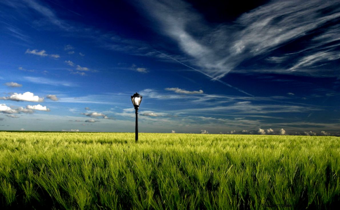 Free HD Widescreen Wallpapers Free HD Widescreen Wallpapers
