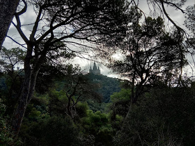 Collserola. Desembre 2019.