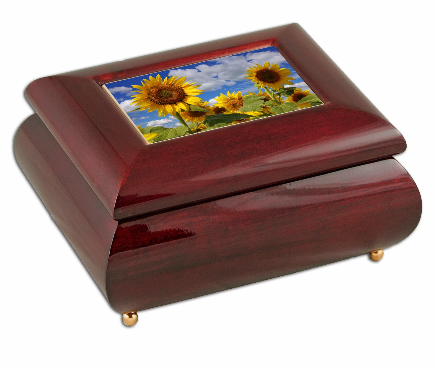 Hanging Off The Wire Music Box Attic