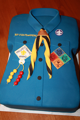 Scout Cake Ideas