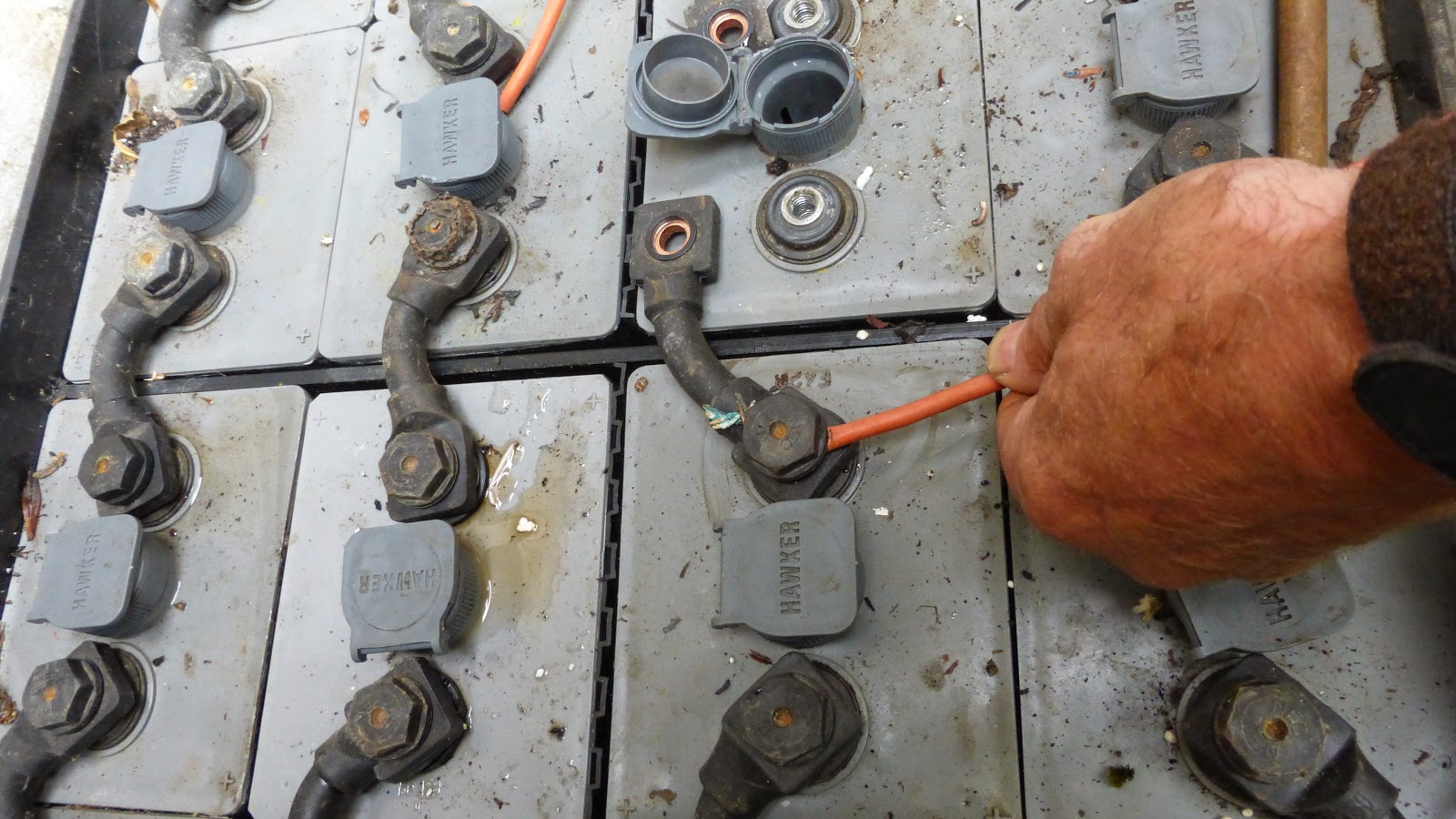 Backsbottom Farm Battery Farming