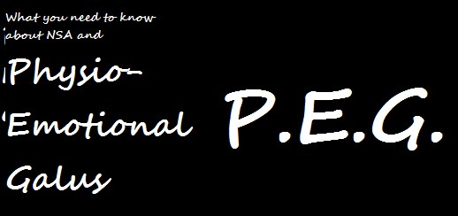 About P.E.G.