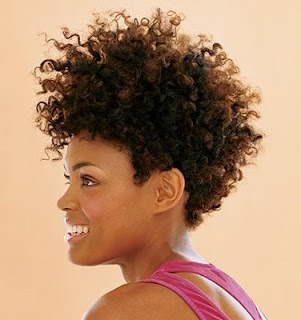 Natural Hair Black Curly Hairstyle
