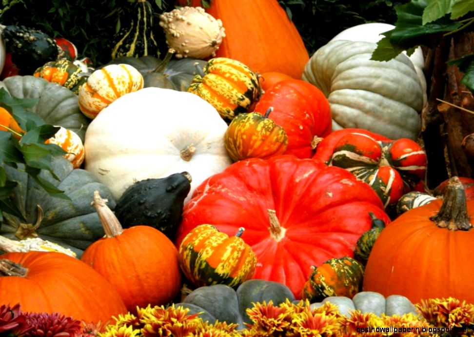 HD Cool Wallpapers Halloween Pumpkin Wallpaper Database HD Cool Wallpapers Halloween Pumpkin Wallpaper Database