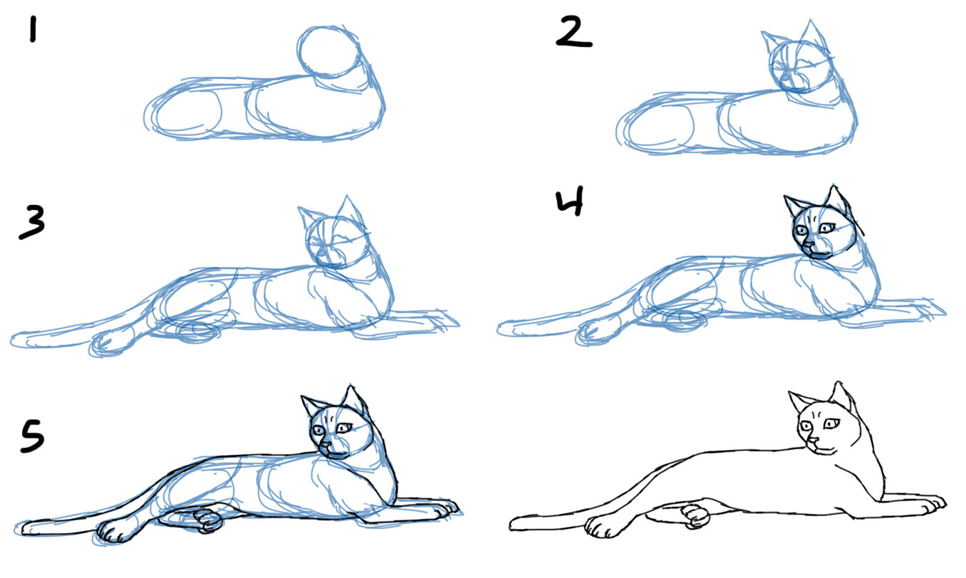 Savanna Williams How to Draw Cat Bodies in Poses