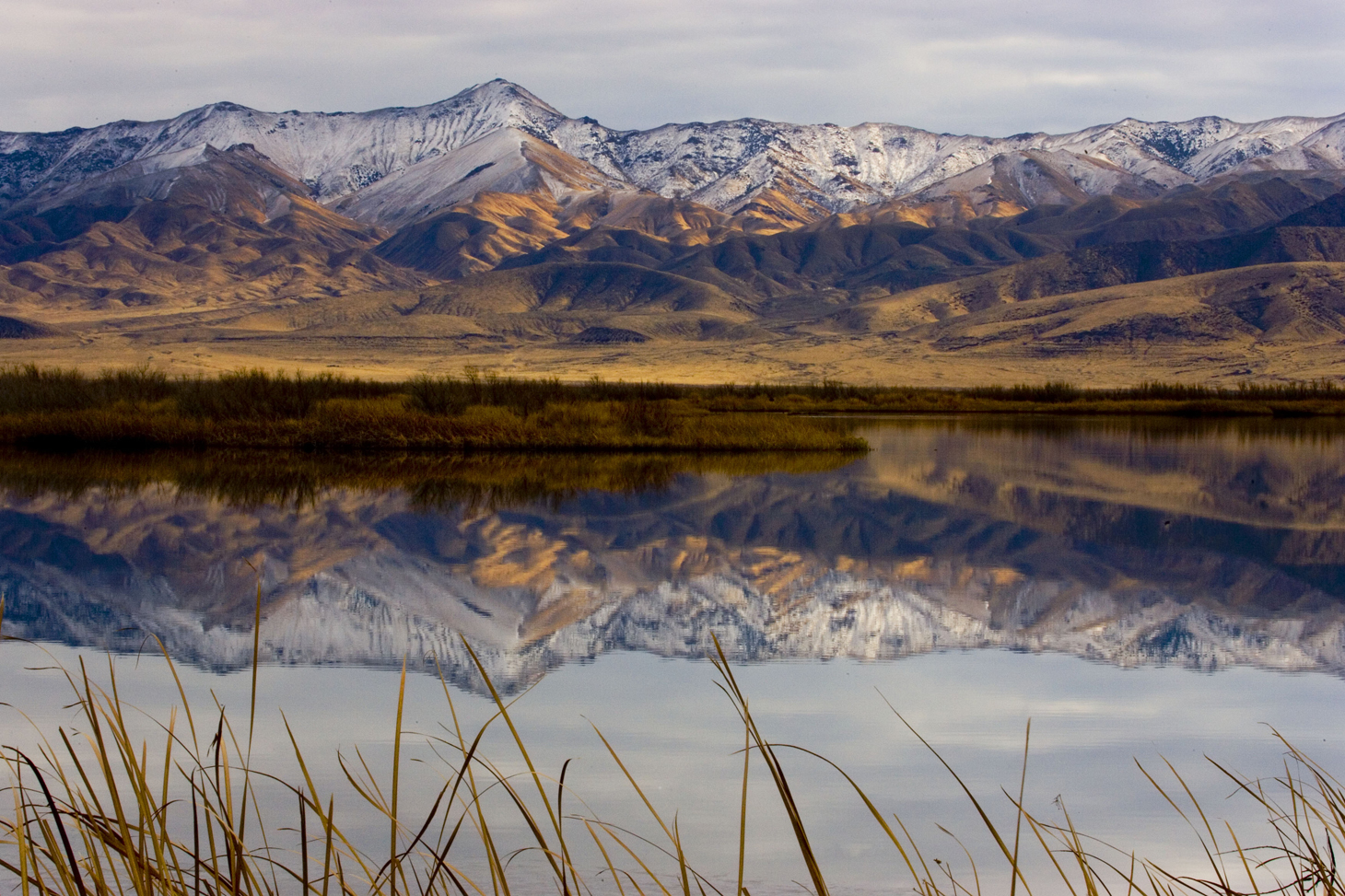 Serving and Teaching Natural Nevada