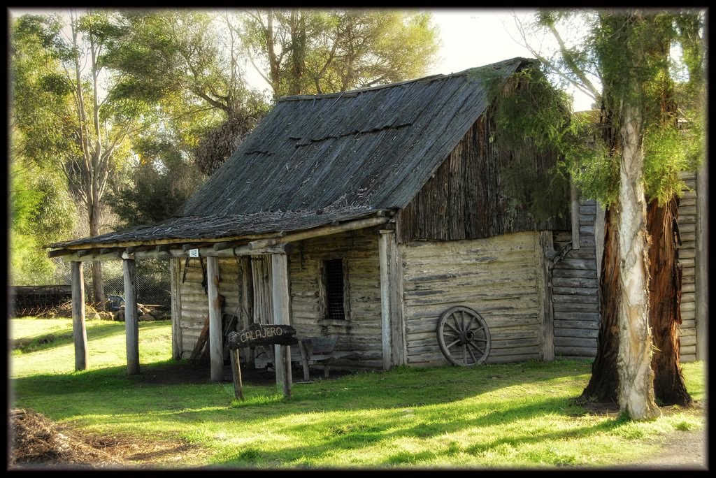 Bytes A Bush Christening