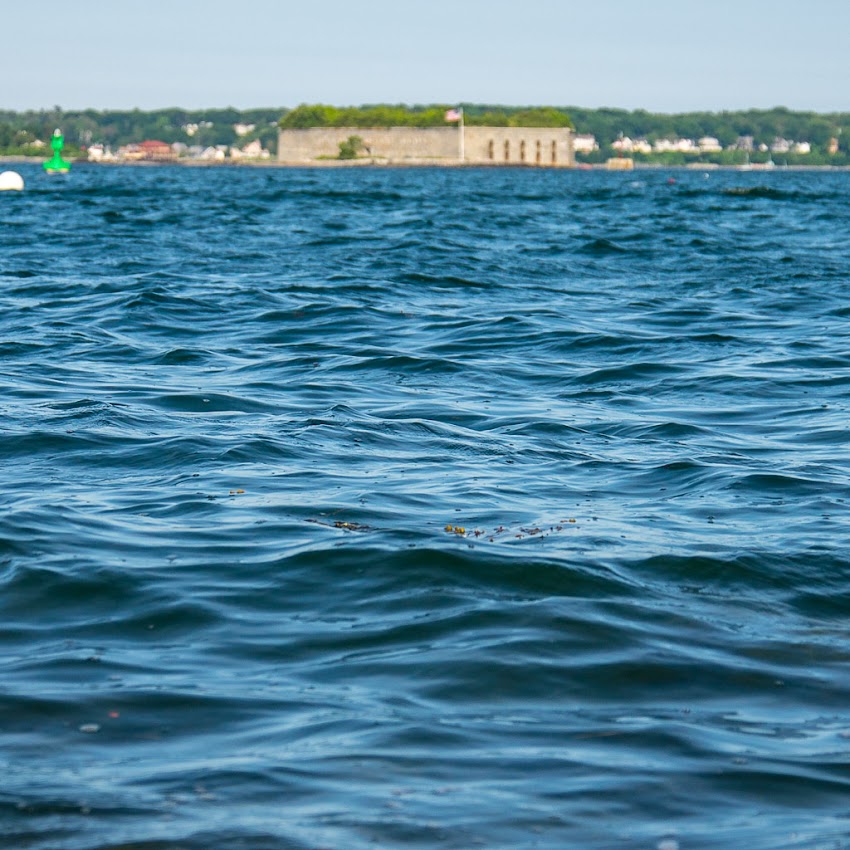 Portland, Maine June 2015 Eastern Promenade to Fort Gorges water view in Casco Bay photo by Corey Templeton.