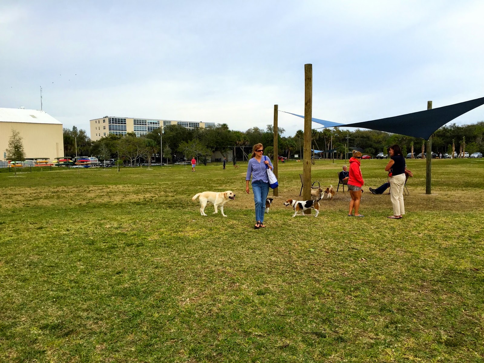 TakingPaws The Vero Beach Dog Park!!!!