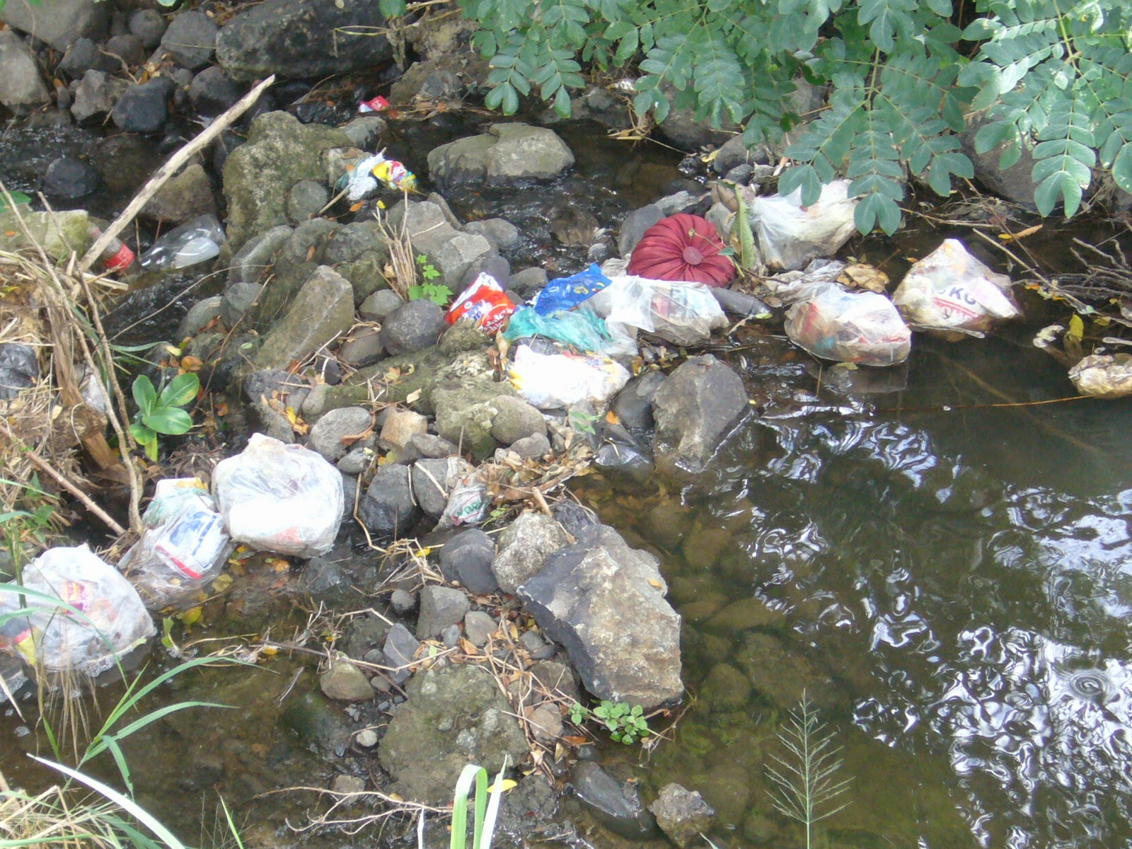 FA�s Blog FIJI WATER By Matt Allen